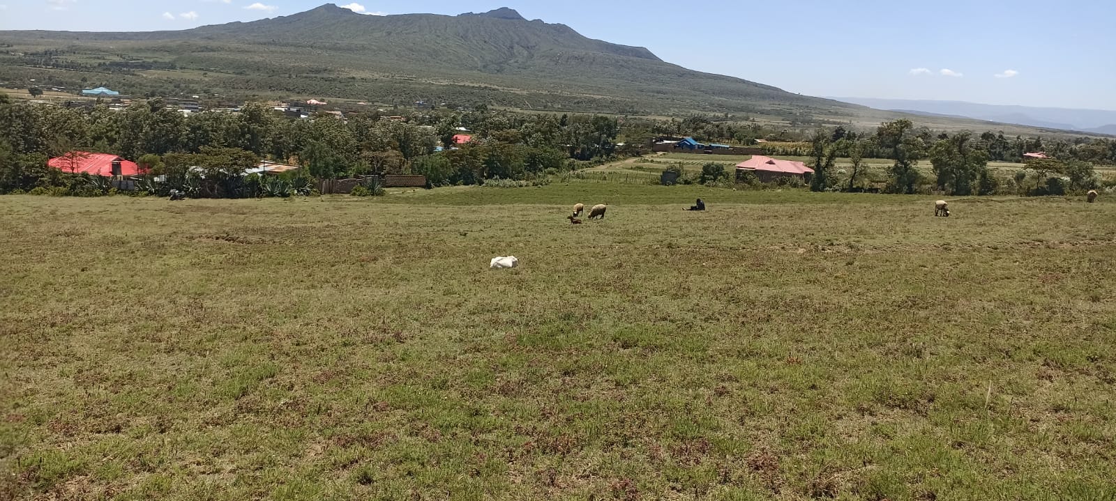 Realsol Property image